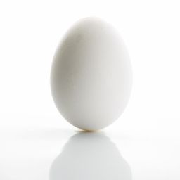 Coin image for 5E2tRrLpg3DpjfS2tCwnWvfcfkMAETGtMcupJ8vRTrra