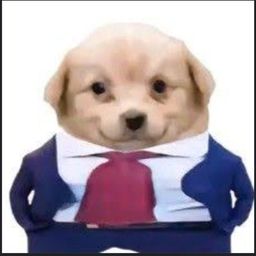 Coin image for 5EhQtiGkugHFMwpQp7H7Mr9TfbomZ2KPfhfGJux7pump