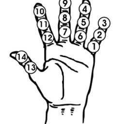 Coin image for 5ExkyeCgCu2Hrmq3cnwA9rtfVTajxVLofirykpqSpump