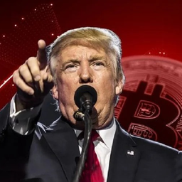 Coin image for 5FSSDmeWzAt8GcC2uyVA1eE21HTHZqLwuCppcBifpump