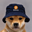 Coin image for 5FTWtB6YkNcCkqTHzkYKFCfeoP2VusoCvwrGY4eBpump