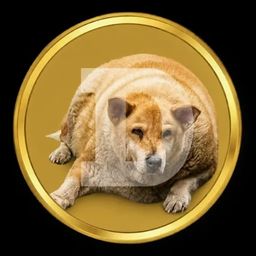 Coin image for 5FgqS9bZePWNCkXRKQ8VuZnFmTVZQfBmJypuVsRKpump