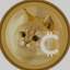 Coin image for 5FitDFttuc1Kd572SZnvY18UaJAqcjGs5g6z8BRspump