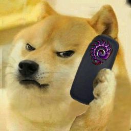 Coin image for 5GPLXapZdZFoVNDFURRgAkecDAqeiTJADedXMhS7pump