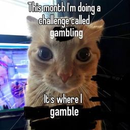 Coin image for 5GaVBMLHs8VGtXjbSjsrbKqNwc4nBdXhFfqa1ULupump
