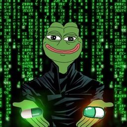 Coin image for 5GhJSTt59N3BLNv33SKvrDUXkDnrWt9JVKRSs9VGpump