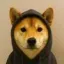 Coin image for 5HKYv2FycRkKuxeDC5qnb7jiHnkZdz2BN3k832z8bdGJ