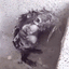 Coin image for 5HMYCqrVQwmX7iuB9B9FwPStNNShgmooyt3jQuWrpump