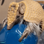 Coin image for 5Hx5iXtTFDGNpXPyTMbwMvkH6Uh3bycUz6Atdmzmpump