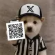 Coin image for 5JAGKSkU7TFAEQ4vEc2UpX4Fy4qjYJ7wUqTAeyDqpump