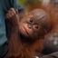 Coin image for 5JUte5smiCdD4T8Q4ArWDjrG2vLSM4v4xa6gUd54pump