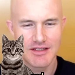 Coin image for 5LQDz5wWJGNUmcjEaWcEAsXmkiRxqQGgAVdev2mSpump