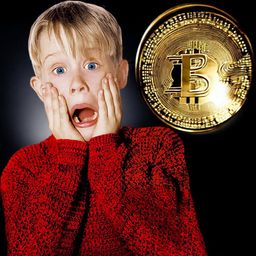 Coin image for 5LkG6mhpVLAGVLamDToHTTeLTXewDkH1PESVpryGpump