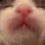 Coin image for 5MYPCuY3fVDo85d383n3PEDX18QzdqonDWaFtC5SftZC