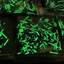 Coin image for 5MqobCiehMJ7Mc8KK2UsxtK22dug3XZTy5TZ71Hapump