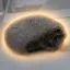 Coin image for 5MxeqXzHmMSqnVcjSqFuX8hhTbwprLTvts6y6L1tpbpB