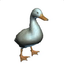 Coin image for 5NosUPm5GfSPteNRCcnutBqrhszXKGWsfReaDx5Kpump