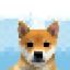 Coin image for 5PEwafpvp21RZtjbTDPazeXapCqJ8YZZcao7LyuD4C4C