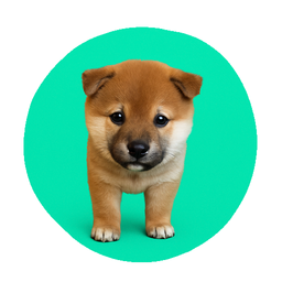 Coin image for 5PmFnVNDWXQFdQEhYHz4twff3if1CtaC7comuzfYpump