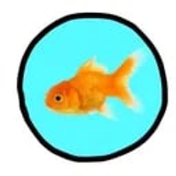 Coin image for 5Pvs2s39SgVjH5DycX8PdAD8jZwM3qfQuXHNPzE6pump