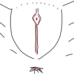 Coin image for 5PyAa5YkFrg11zbxK2WHomxrzF4CQnvY2ABq3kchpump