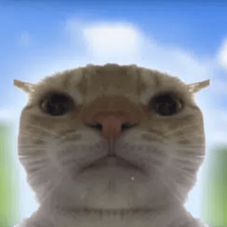 Coin image for 5PyQeKawXGuEjEU89cDcjgwifqqBCRvY4Ydvgtptpump
