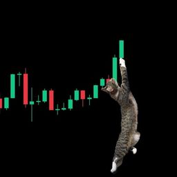 Coin image for 5RakRcaTdbTZuePqdKB3YQy1SUGdQZmxk9WTYg9Dpump