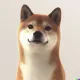 Coin image for 5RtdL9brnMcxmFhJ5JmgCsQBDH15cmPLhMAC4FMdpump