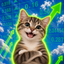 Coin image for 5S2TFtcTrKYKXdNzwdzva6K2hKrqBKyKX2khjoWvpump