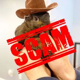 Coin image for 5S6nZikb3afaJPViEU8dn7Gk8g1ZSdiucqKFxt5pump