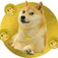 Coin image for 5SZrkHmZ3Coer1M13xqw2yKJo87o1RsDLrTnoXqyMA2