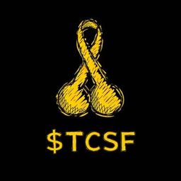 Coin image for 5Sp56cfDim6ayfMcmMYNSo8mNzFmTbeTpk2wwXA2pump