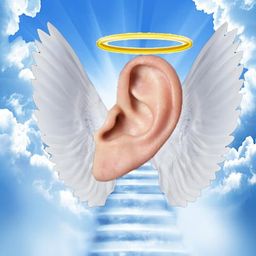 Coin image for 5SuErTV897CyMDNeAUjMSmQ7asgSP4FACE4UP3z2dBns