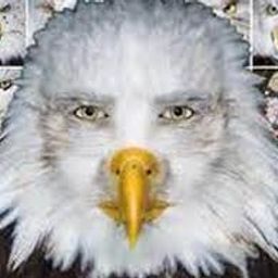 Coin image for 5UtjkLKoL9nSNT6ayWPcrYbfT2Jd3iuno85Kttdpump