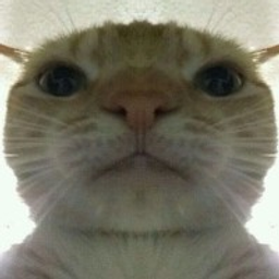 Coin image for 5UwKv9SAWuSrb7SCFcd4myhJAZaXidSHBbboCcSxpump