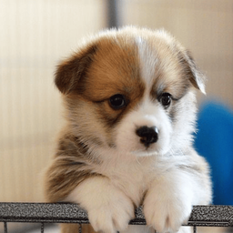 Coin image for 5VLbeZkCTc3pypyYcdHCCLWcM9wMk59nayZLn7Ypump