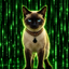 Coin image for 5VycFnUgFX9QndjT2Tiy6eiBWeQ2wzyndAzhkGRRpump
