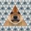 Coin image for 5XE7ExuG6FBiGBqae73wJXw6zbLbECGztYXokgHCpump