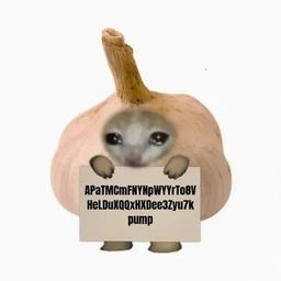 Coin image for 5XJbnfCPLktY6ihLopfFgPwNAPH3gpjfDVYgFybBpump
