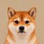 Coin image for 5Xqvpikxjr6qESkwo3mHoKSNDFGLXLm7djbeQ5Ba2B8f