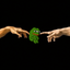 Coin image for 5YLwfAdGWbjT5gam2gkWFMgoAai6tAVMknB3GJY5pump