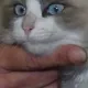 Coin image for 5YxP3cQ3j5Ubu9sj4QBBawPMueWwqbYQKoKpbPDypump
