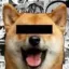 Coin image for 5Z7fCdafTkDEp6UQtVxX1ouNYtXwJaFzvxRRcHMnpump