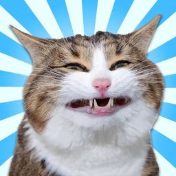 Coin image for 5ZUuvAonAZGoGDb1h5TcmTMixbeHDCSRqqbNnALDpump
