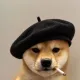 Coin image for 5avxmpyiMXQ5yCjhUruNzGn6j3CDiVzWtf2KiWzApump