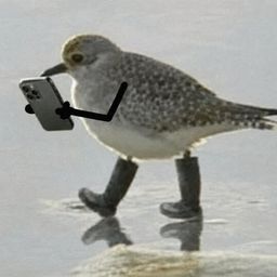 Coin image for 5bHXqMWPsHgmGiXvfPyPriN8FimBQmTULCPmVmeCpump