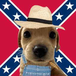 Coin image for 5bZCtk4kecoZym4SDSCL6EiAiQeogujHMAaJ9MEzpump