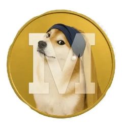 Coin image for 5bvFitW9f8RaXHEVioVJk2tHCeD4KZ275Rsw69FDpump