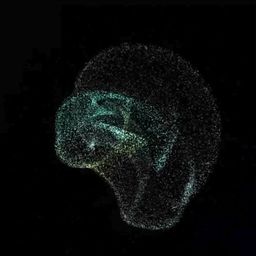 Coin image for 5dfdc11XmhaKsUYaE2xkferxdeetgbPyrV2objWfpump