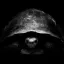 Coin image for 5dgcAFnoR1siesykAZbrzMFdqkEQWXKo1PbYvLn2rLd7